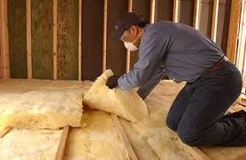 Types of Insulation We Offer in Alakanuk, AK